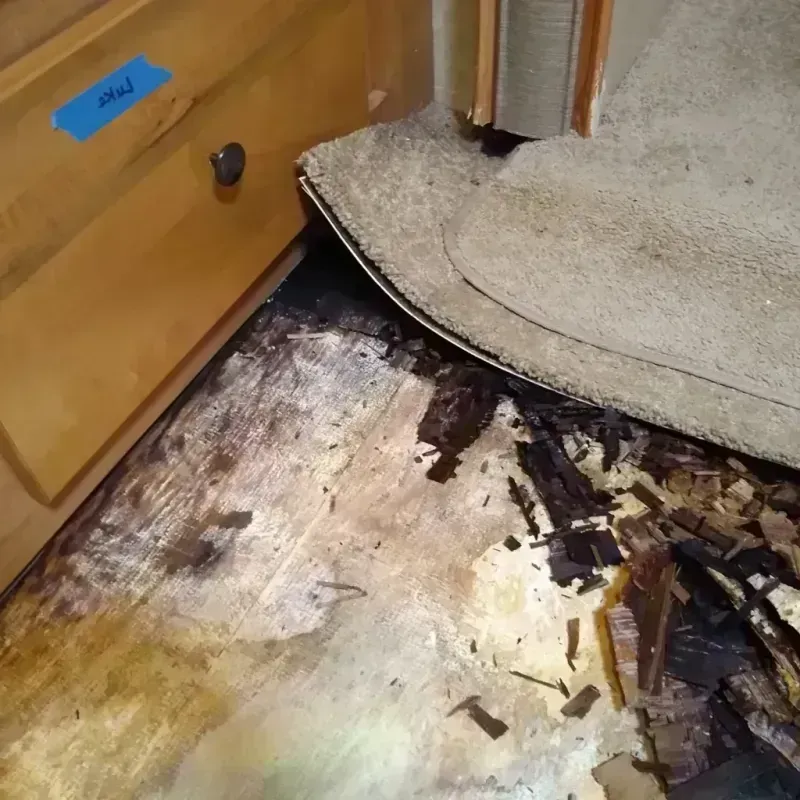 Best Wood Floor Water Damage Service in Oak Harbor, WA